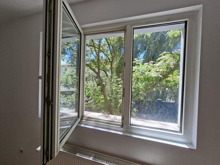 Dumbravita la intrare,  pentru locuit sau afacere - 4