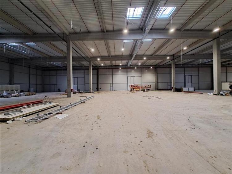 Hala de 1300 mp, Prima Inchiriere, situata in zona DN1, E60! - 5