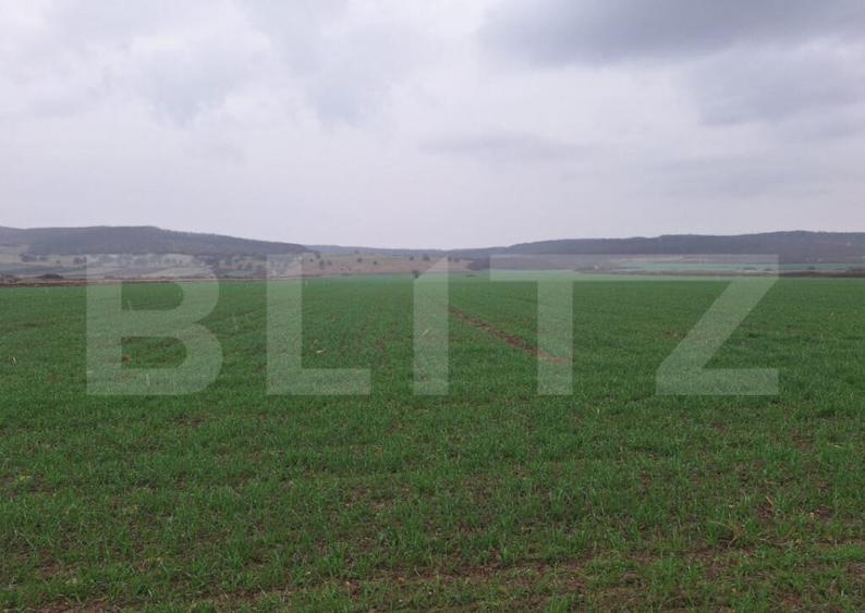 Teren extravila CUGIR 10.000 mp - 1