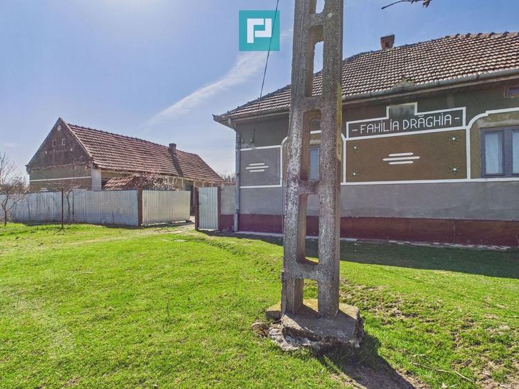 Casă cu teren de 6000 mp în Duboz, Timiș - 7