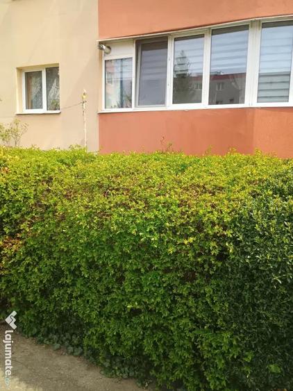 Apartament de vanzare 2 camere central - 1