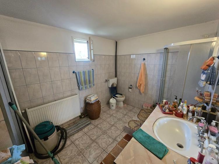 Magurele/Darasti-Ilfov/Vila individula cu crama,garaj,foisor,livada si solar - 15