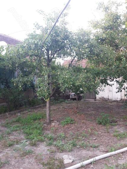 Casa de vanzare in loc. MORODA jud. ARAD - 2