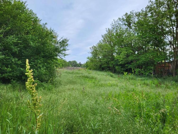 Teren de vânzare – oportunitate cu potențial investițional - 2