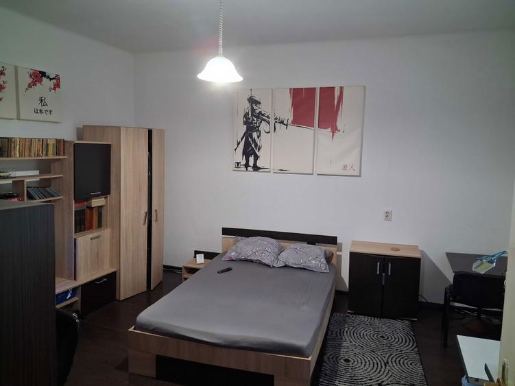 Proprietar, vand apartament cu 1 camera, acte la zi, zona Elisabetin - 1