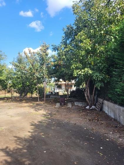 Teren intravilan zona Viile Noi - 9