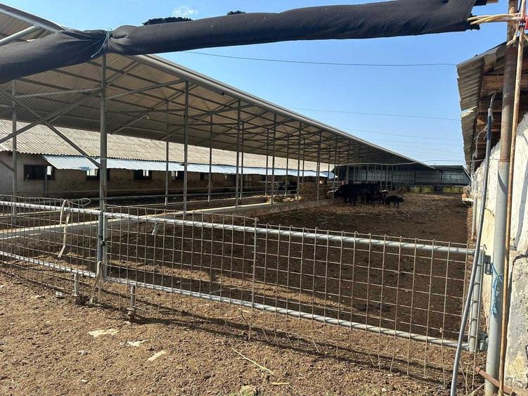 Teren intravilan, Ferma zootehnica sau hale - 2