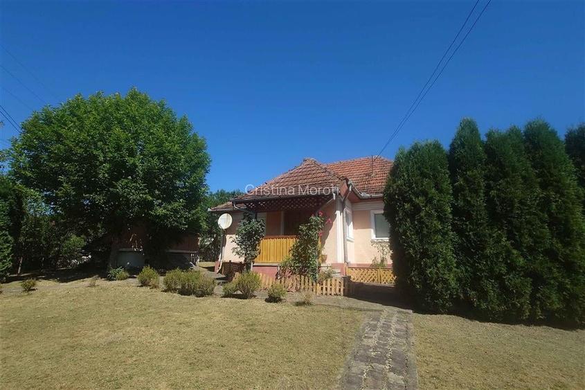 Gospodarie cu teren generos si constructii solide intr-o zona linistita