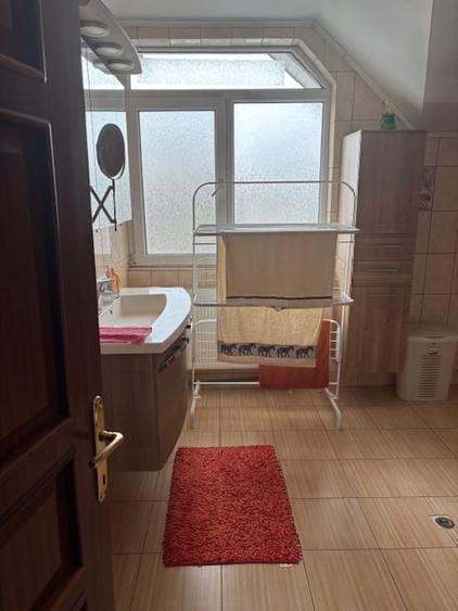 Casa parc Bazilescu - 11