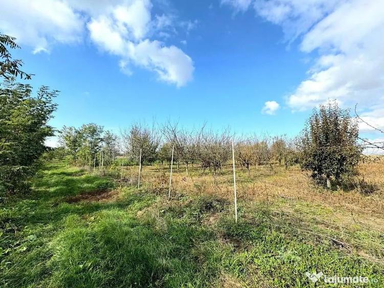 Livada+gradina, teren intravilan 2902mp, Damienesti-Bacau... - 5