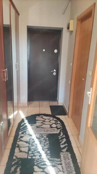 Garsoniera spatioasa, 42mp, Dr. Taberei - cartier Brancusi, proprietar - 5