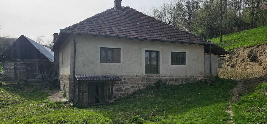 Vand casa cu gradina + padure + teren arabil - 5
