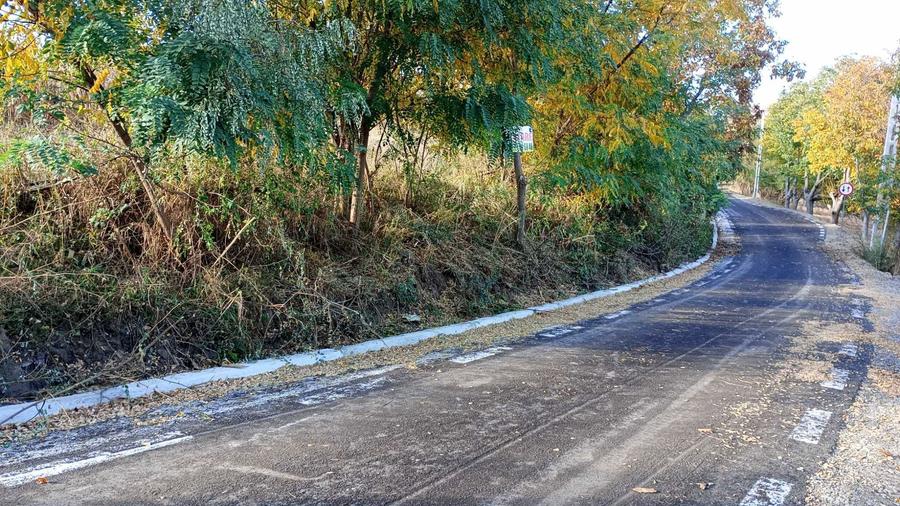 Teren de Vanzare 25 Ari Zona Verde, Linistita Drum Asfaltat, Lisaura - 6