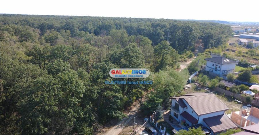 Vila cu garaj Padurea Pantelimon - 4 camere - 4