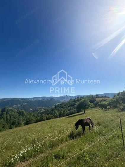 Teren intravilan de vanzare 11.136 mp | ALBAC | CU POSIBILITATE DE PARCELARE |