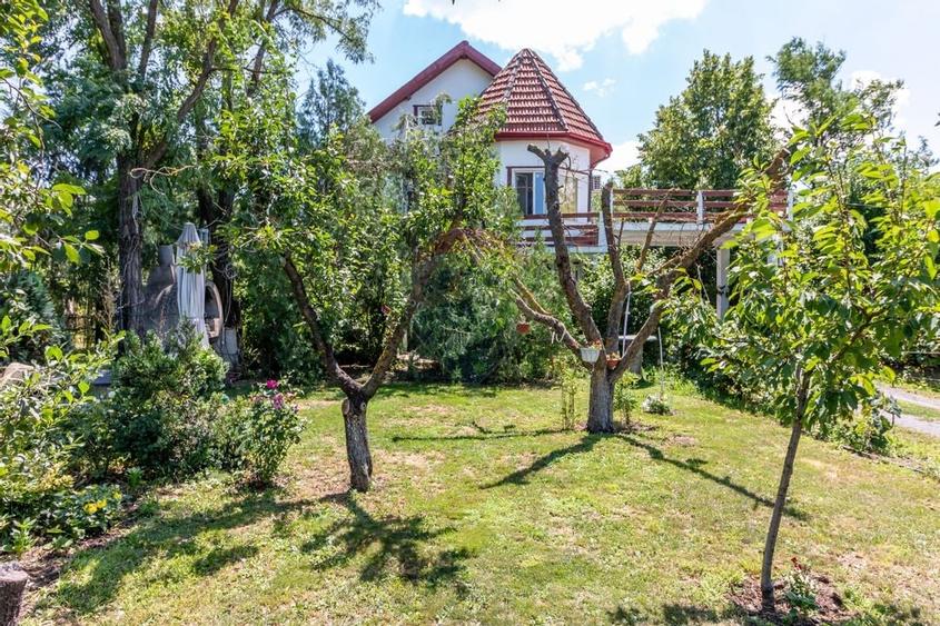 Casa+Laborator+ Teren 12.700 mp + casa de vacanta - Bolintin Vale - 51