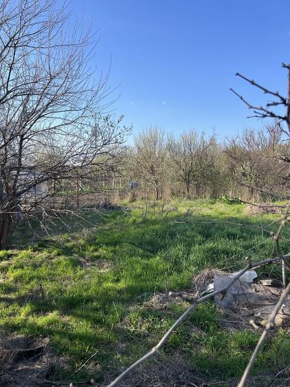 Casa individuala in Sag cu teren 1940mp - pozitie centrala - 2