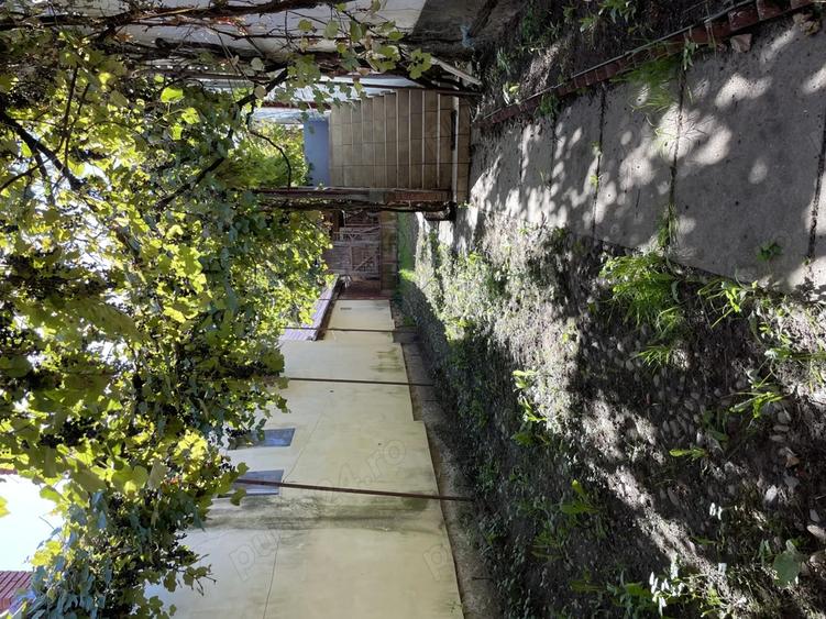 Casa la ?ara 15km de Sibiu comuna Slimnic Intravilan - 7