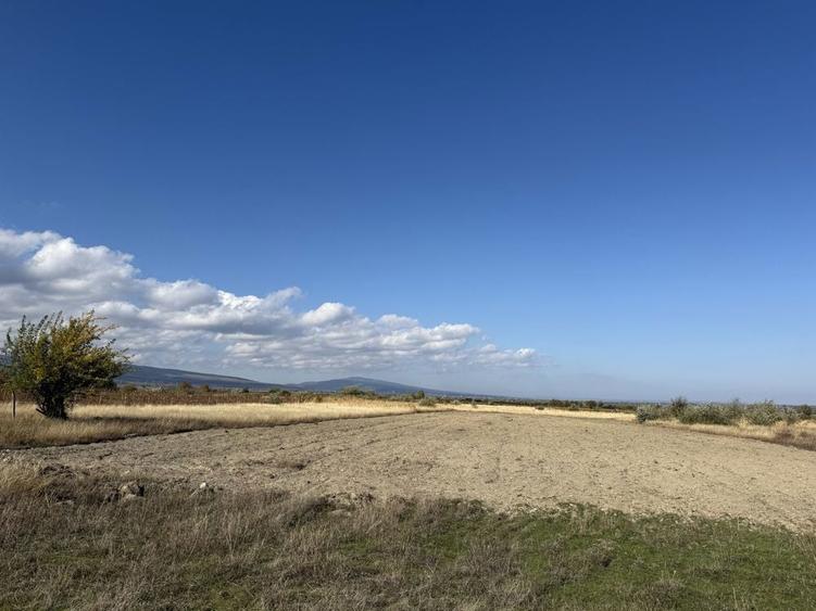 Teren extravilan Campineanca ( la iesire spre Carligele)3000 mp - 4