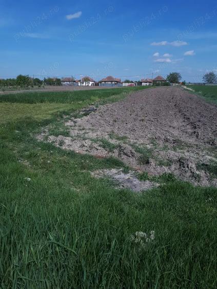 De vanzare casa la tara - 6