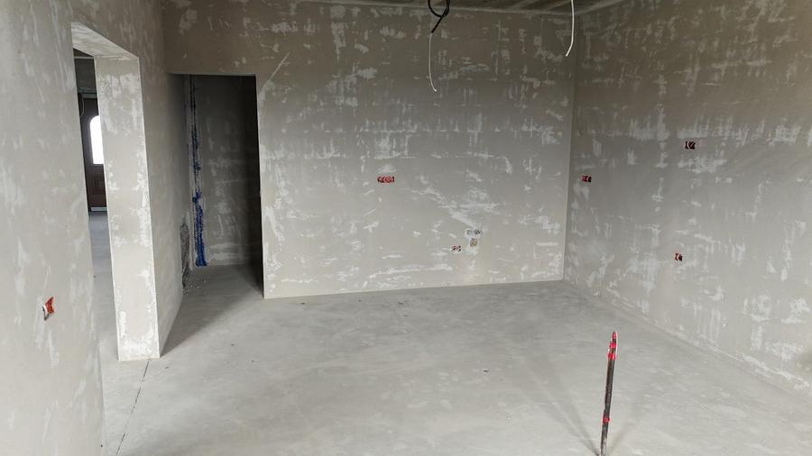 Vand casa individuala la cativa km de Timisoara - 3