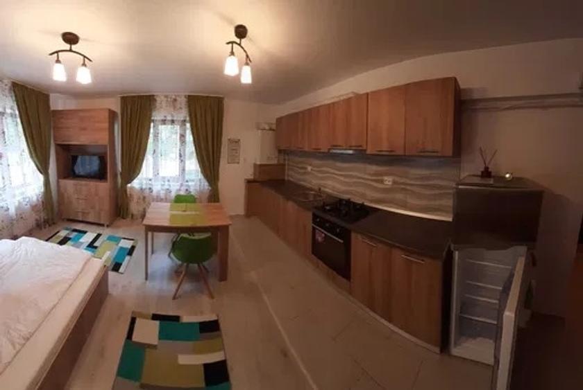 Apartament cu 1 camera, zona Nicolina-Lidl - 4