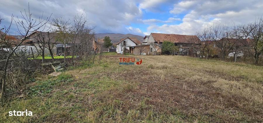 Casa de inchiriat in Micesti - 3