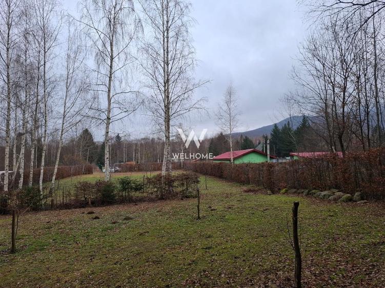 Teren deosebit pozitionat, cu livada, langa padure,  pe Valea Avrigului - 1