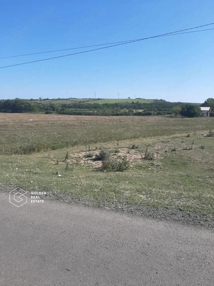 Terenuri 3699 mp, oras Lipova - 1