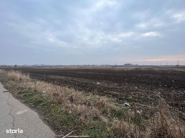 LOTURI DE CASA / Teren CHITILA / 500 Mp - 2