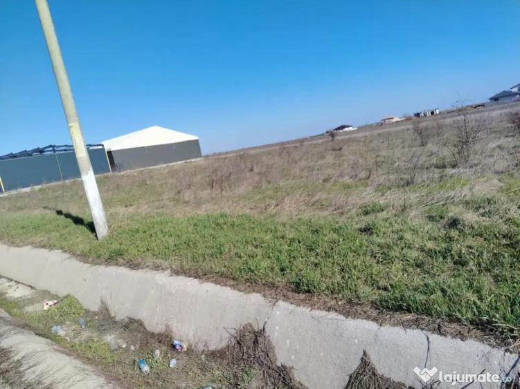 Teren intravilan, Piele?ti, 981 mp, front 27 m - 2