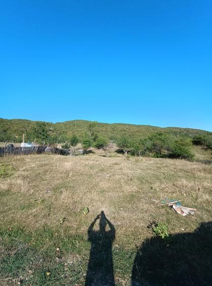 Teren intravilan sat Poiana Cristei - 8