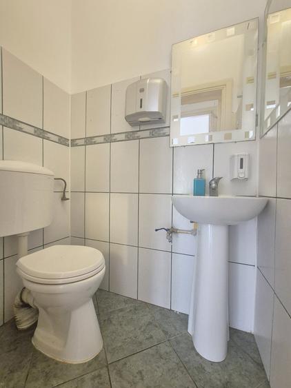 6 camere, P+1, Piata 1 Mai, Parc Kiseleff - 10