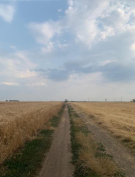 Stefanesti de Jos DJ200A Vanzare Teren intravilan 3 Hectare - 4