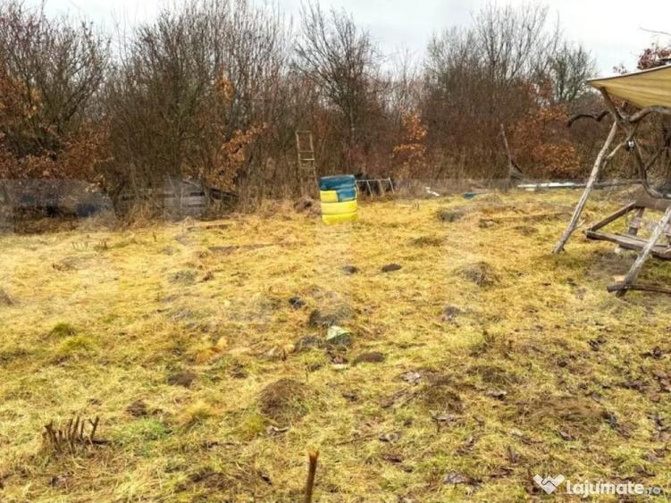 Teren extravilan de vanzare, Valea Budavului - 6