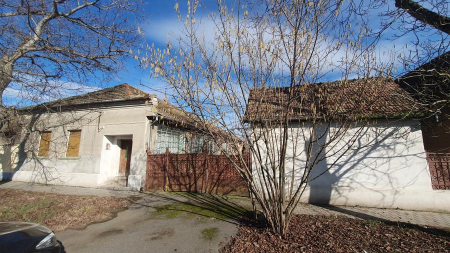 Casa individuala in Ciacova - 10