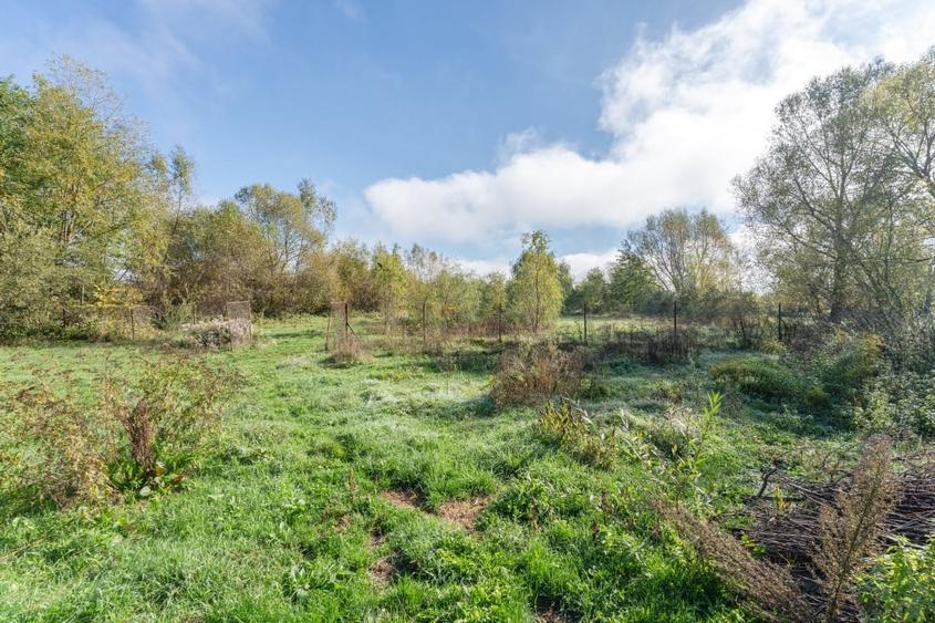 Proprietate rara in Covasna - liniste, spatiu si potential de investitie - 50