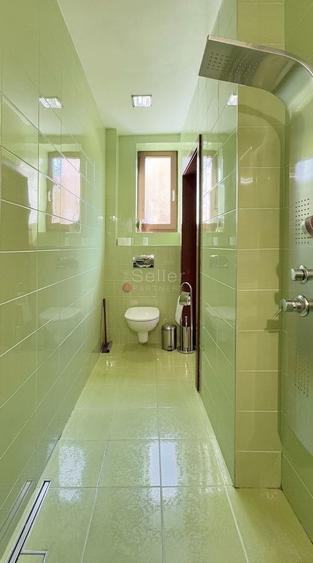 Priveliste Spre Tampa - 3