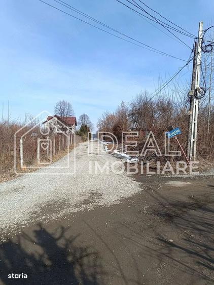 Teren 25.500 mp Valea Avrigului - 2