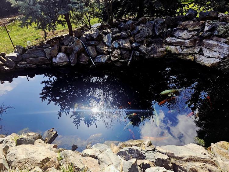 Varasti: Vila individuala cu o curte de 1000 mp ! - 6