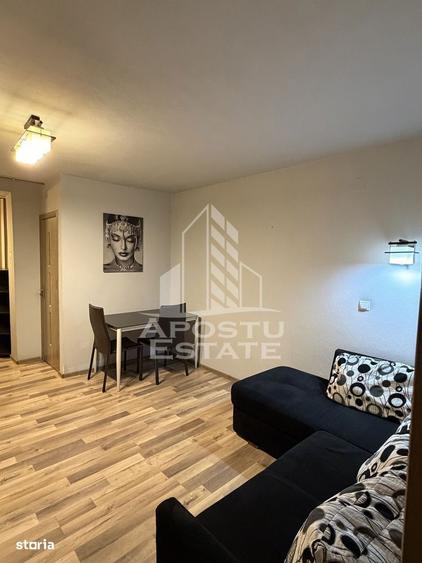 Apartament 1 Camera,Timisoara,Take Ionescu,Centrala Proprie,AC - 7