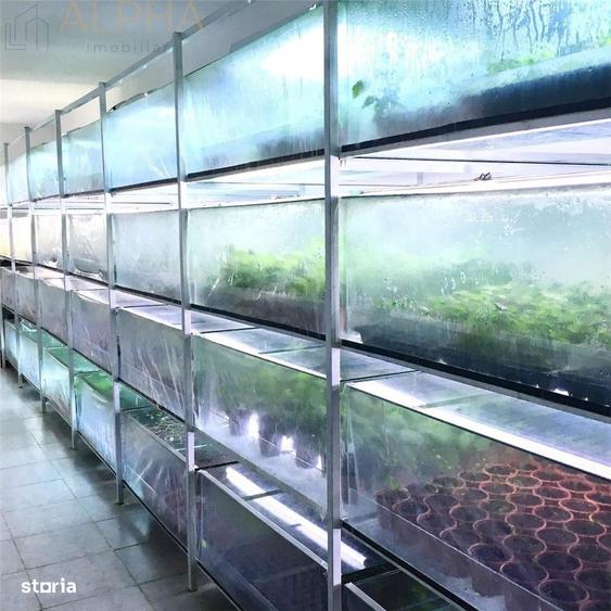 Afacere La Cheie Hala Productie + Sera Profesionala - 10