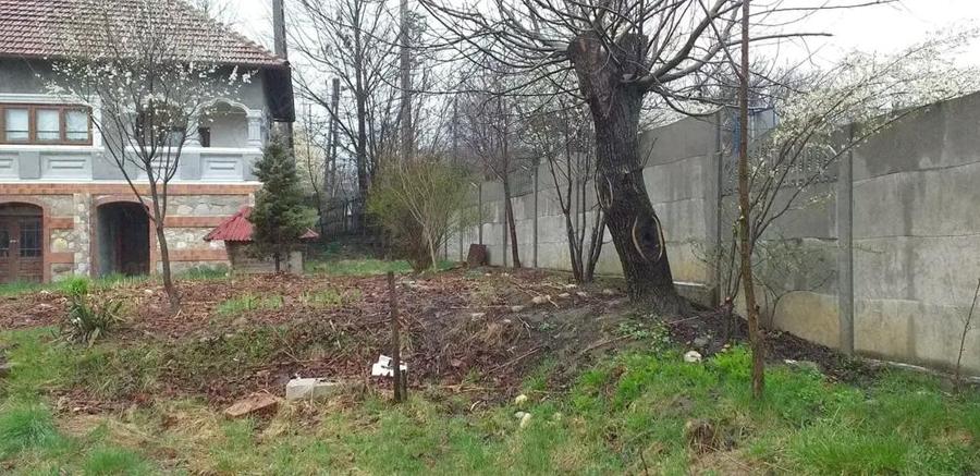 Casa stil neoromanesc,curtea de arges - 3