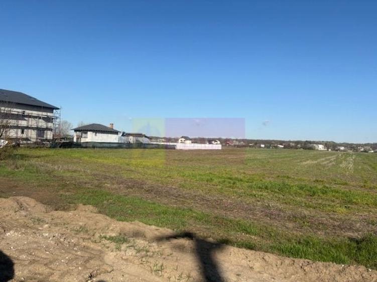 Teren Soseaua Clinceni- Ordoreanu stradal. - 1