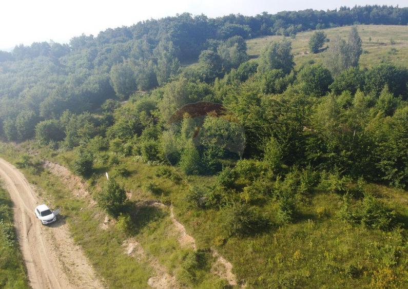 Teren de vanzare in Salicea, 10000 MP , Zona Moara de vant! - 5