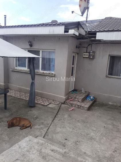De vanzare 2 case in Techirghiol De vanzare 2 case in Techirghiol