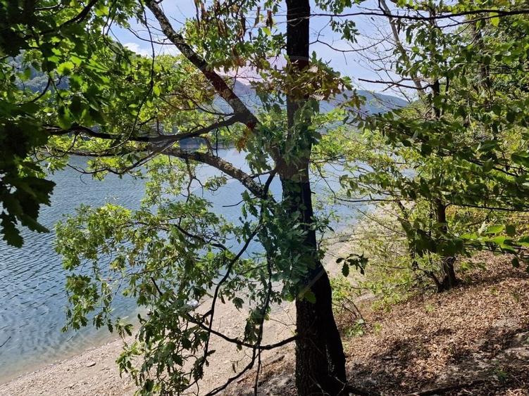 Teren intravilan cu deschidere la lacul Tarnița - 4