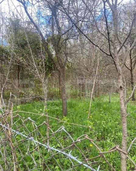 Teren 784 mp, Nistoresti, jud Prahova - 10