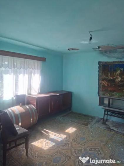 CASA DE VANZARE CU LIVADA ,FANTANA PROPRIE ,LA STR PRINCIPAL - 9