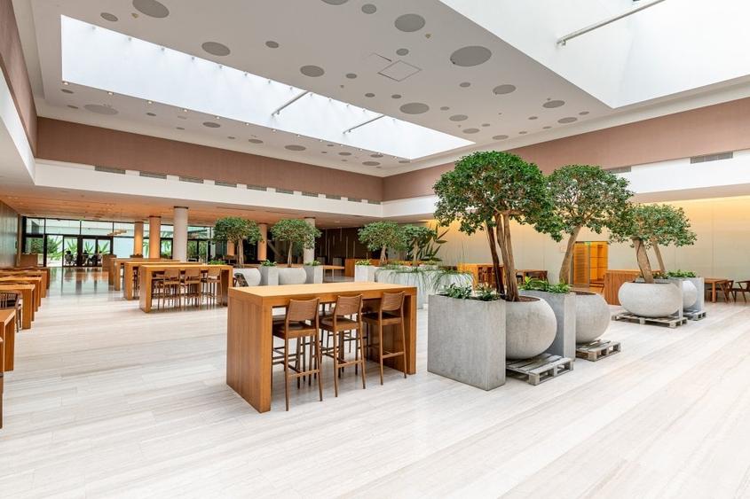 BIROURI CLASA A ZONA DE NORD - 4